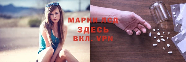 стафф Кодинск