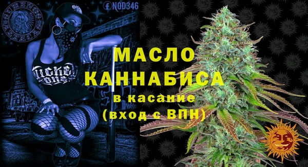 стафф Касимов
