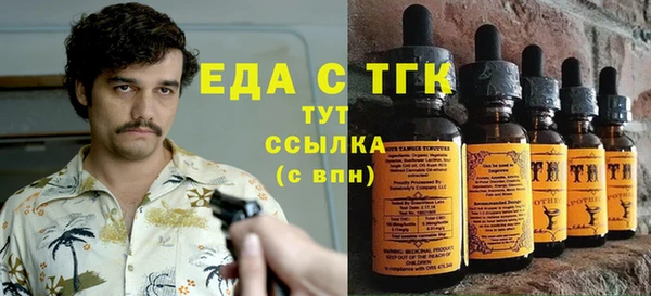 стаф Каменка