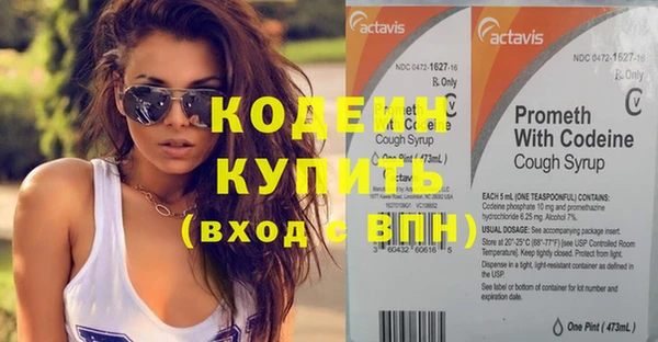 хмурый Каменногорск