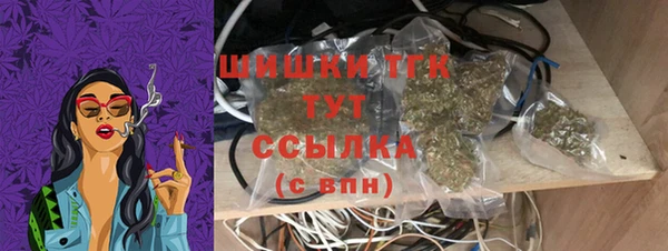 стаф Каменка