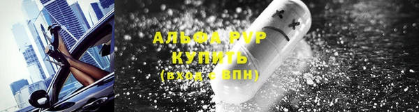 стафф Кодинск