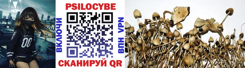 Купить закладки  Козельск  Псилоцибиновые грибы Cubensis 